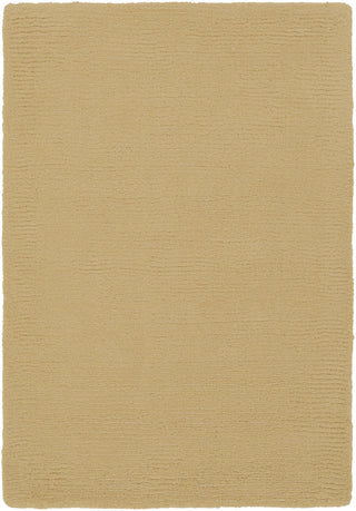 Surya Mystique M-263 Beige Area Rug 2' x 3'