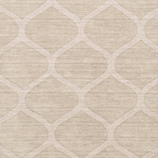 Surya Mystique M-5107 Ivory Hand Loomed Area Rug Sample Swatch