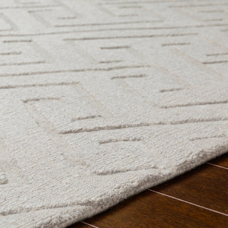 Surya Mystique M-5455 Area Rug Detail