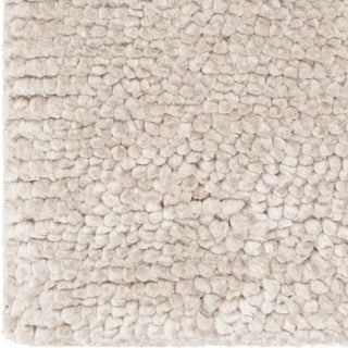 Chandra Mae MAE-39000 Beige Area Rug Close Up