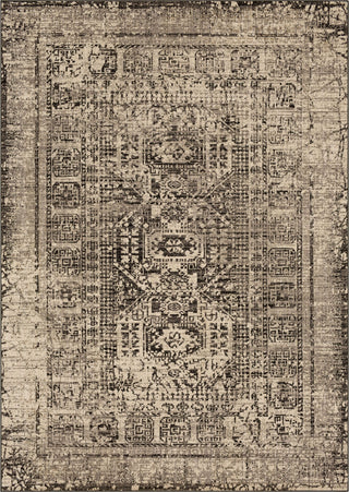 Karastan Estate Malvern Gray Area Rug Main Image