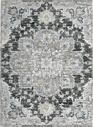 Dalyn Marbella MB3 Midnight Area Rug main image