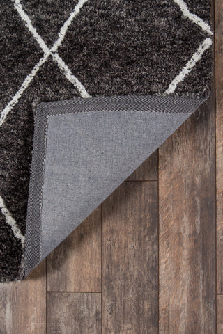 Momeni Margaux MGX-8 Charcoal Area Rug Main Image