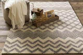 Surya Matmi MAT-5463 Taupe Hand Tufted Area Rug 