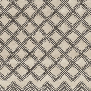 Surya Matmi MAT-5463 Taupe Hand Tufted Area Rug Sample Swatch