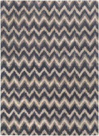 Surya Matmi MAT-5465 Gray Area Rug 8' x 11'