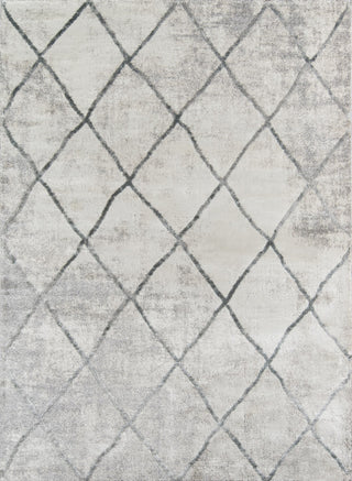 Momeni Matrix MTX-3 Grey Area Rug main image