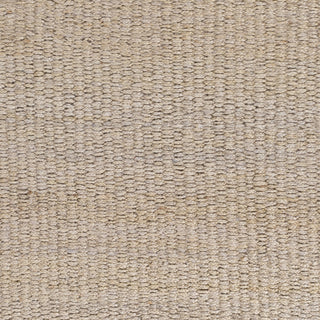 Surya Maui MAU-3002 Taupe Hand Woven Area Rug Sample Swatch