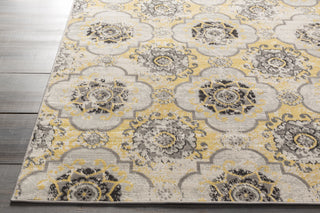 Surya Mavrick MAV-7019 Area Rug 