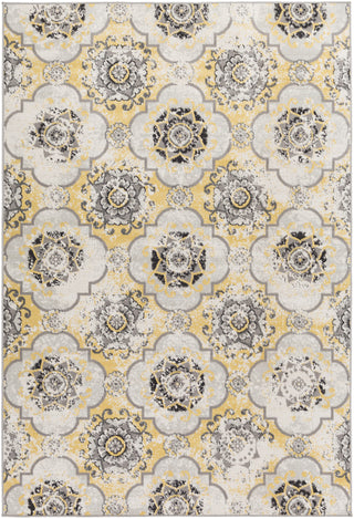 Surya Mavrick MAV-7019 Area Rug main image