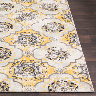 Surya Mavrick MAV-7019 Area Rug 