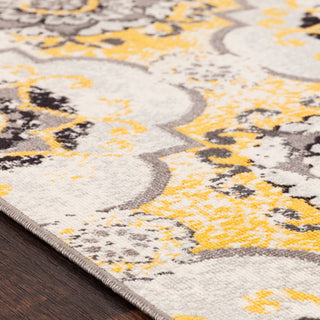 Surya Mavrick MAV-7019 Area Rug Detail