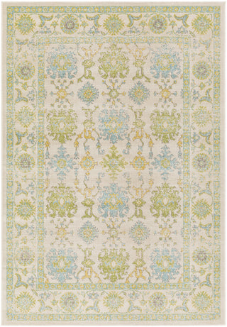 Surya Mavrick MAV-7034 Neutral/Blue Area Rug main image