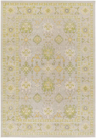 Surya Mavrick MAV-7035 Grey/Green Area Rug main image