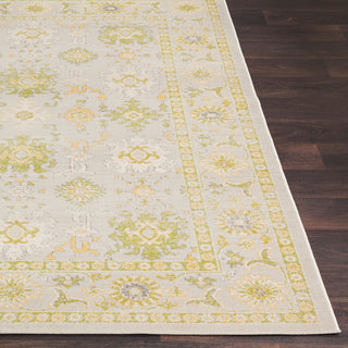 Surya Mavrick MAV-7035 Area Rug Detail Image