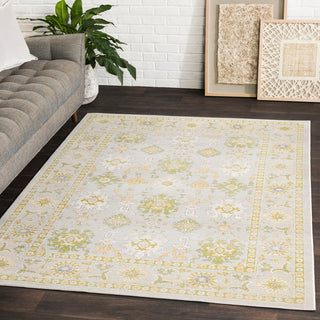 Surya Mavrick MAV-7035 Area Rug Room Image Feature