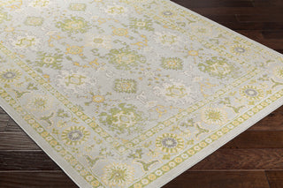 Surya Mavrick MAV-7035 Grey/Green Area Rug Closeup