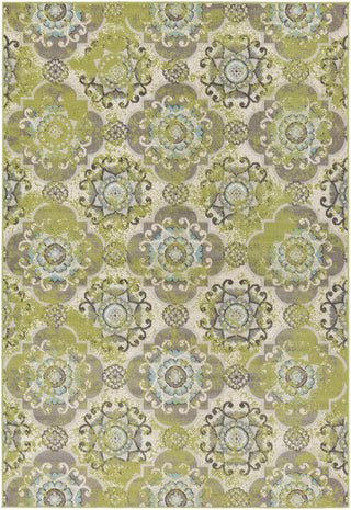 Surya Mavrick MAV-7036 Neutral/Green Area Rug main image