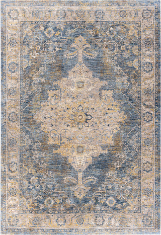 Livabliss Mirabel MBE-2317 Area Rug