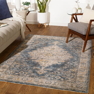 Surya Mirabel MBE-2317 Area Rug Room Scene Feature