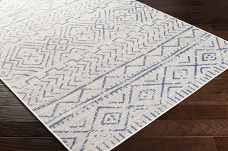 Livabliss Malibu MBU-2329 Area Rug