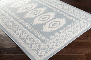 Surya Montego Bay MBY-2309 Area Rug Corner Shot