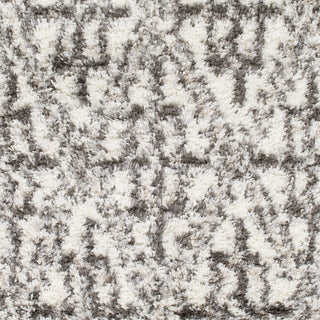 Surya Mercer MCR-2000 Machine Woven Area Rug Sample Swatch