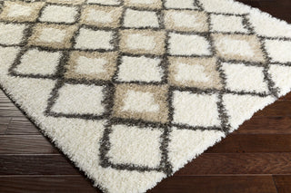 Surya Mercer MCR-2001 Machine Woven Area Rug Corner Shot