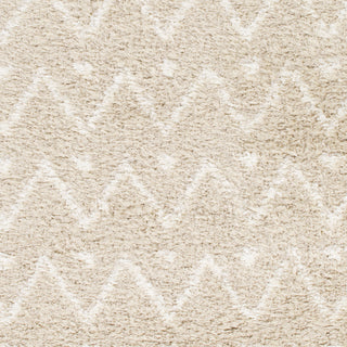 Surya Mercer MCR-2003 Machine Woven Area Rug Sample Swatch