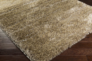 Surya Mercer MCR-2006 Machine Woven Area Rug Corner Shot
