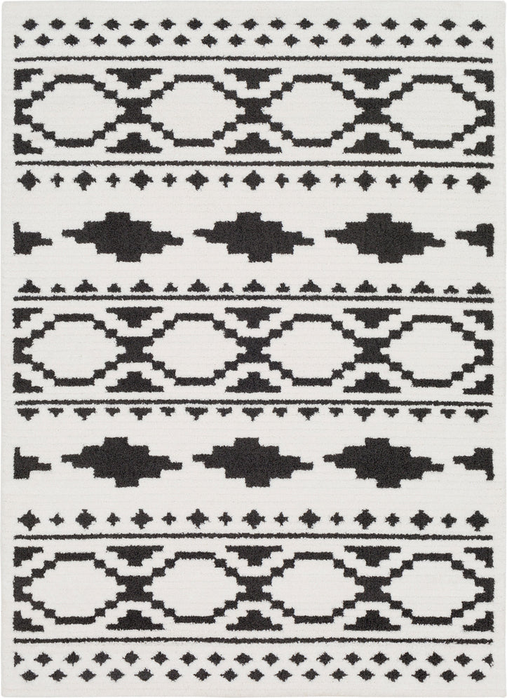 Surya Moroccan Shag MCS-2305 Black Charcoal White Area Rug main image