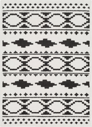 Surya Moroccan Shag MCS-2305 Black Charcoal White Area Rug main image