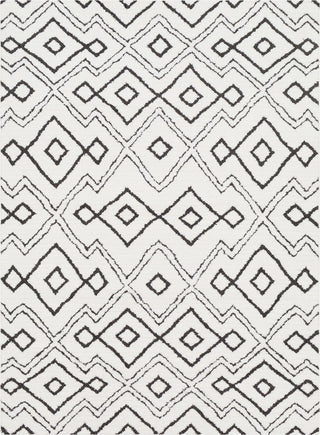 Surya Moroccan Shag MCS-2308 Black Charcoal White Area Rug main image