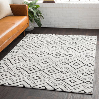 Surya Moroccan Shag MCS-2308 Area Rug Room Image Feature