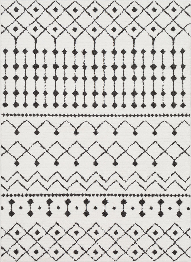 Surya Moroccan Shag MCS-2309 Black Charcoal White Area Rug main image