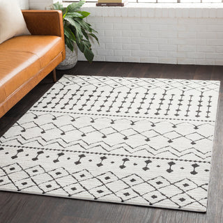 Surya Moroccan Shag MCS-2309 Area Rug Room Image Feature