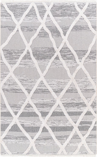 Surya Morocotton MCT-2306 Area Rug Main