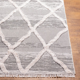 Surya Morocotton MCT-2306 Area Rug Angle