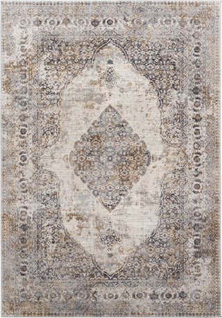 Surya Mood MDD-2303 Area Rug main image