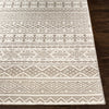 Surya Mardin MDI-2312 Area Rug