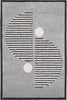 Nourison Modern Passion MDP02 Grey/Black Area Rug Room Image