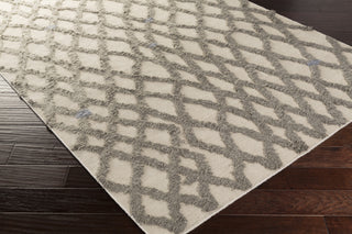 Surya Midelt MDT-1003 Area Rug