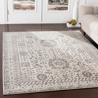 Surya Mesopotamia MEP-2301 Area Rug Room Scene Feature