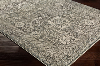 Surya Mesopotamia MEP-2303 Area Rug Corner Shot