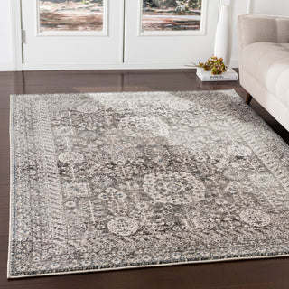 Surya Mesopotamia MEP-2303 Area Rug Room Scene Feature