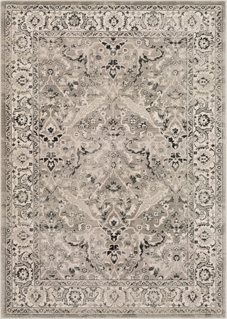 Surya Mesopotamia MEP-2305 Camel Black Ivory Area Rug Mirror main image