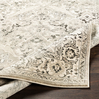 Surya Mesopotamia MEP-2305 Area Rug 