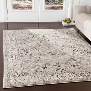 Surya Mesopotamia MEP-2305 Area Rug Room Scene Feature