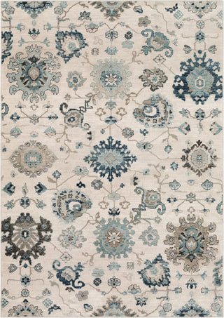 Surya Mesopotamia MEP-2307 Medium Gray Ivory Camel Black Teal Navy Area Rug Mirror main image