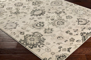 Surya Mesopotamia MEP-2308 Area Rug Corner Shot